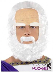 HW0148   halloween fashion wigs