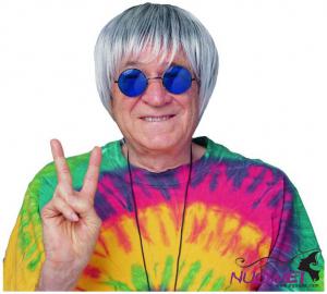 HW0227   halloween fashion wigs