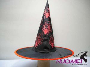 HS0211  Fashion hat