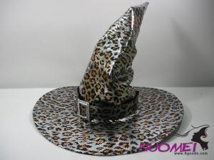 HS0251  Fashion hat