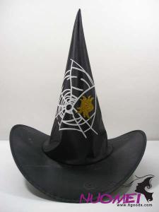 HS0262    Fashion hat