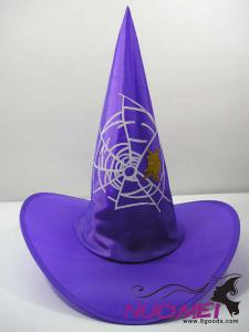 HS0263    Fashion hat