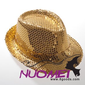 HS0364 Fashion hat