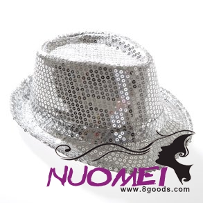 HS0367 Fashion hat