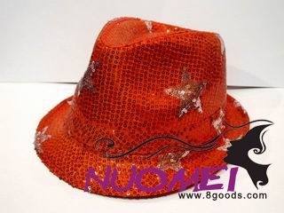 HS0370 Fashion hat
