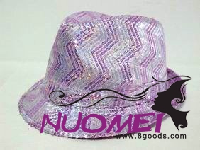 HS0372 Fashion hat