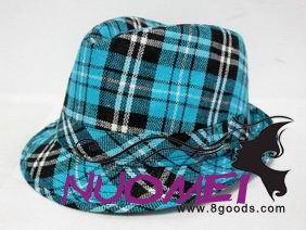 HS0373 Fashion hat