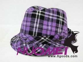 HS0374 Fashion hat
