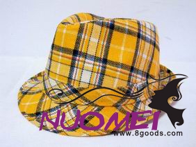 HS0375 Fashion hat