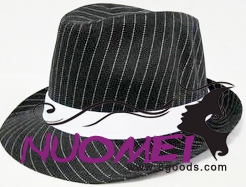 HS0376 Fashion hat