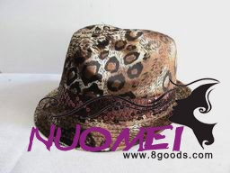 HS0378 Fashion hat