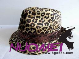 HS0379 Fashion hat