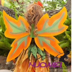 BWS0011   Beautiful  Wings