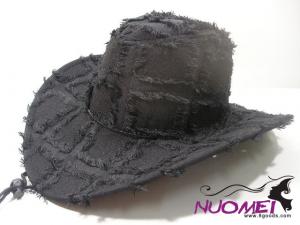 HS0310    Fashion hat