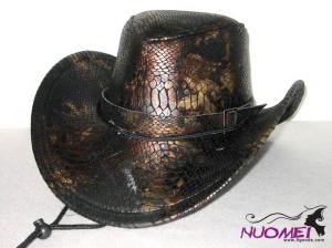 HS0311     Fashion hat