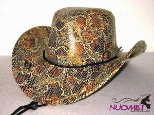 HS0312     Fashion hat