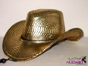HS0314     Fashion hat