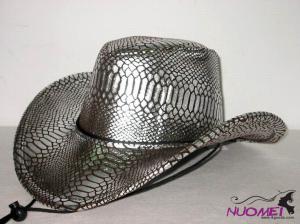 HS0315     Fashion hat