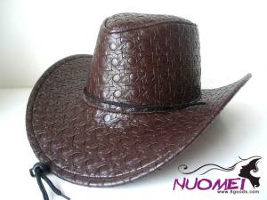 HS0319     Fashion hat