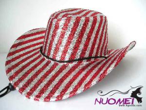 HS0323     Fashion hat