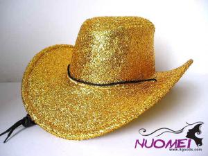 HS0324     Fashion hat