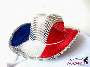HS0344   Fashion hat