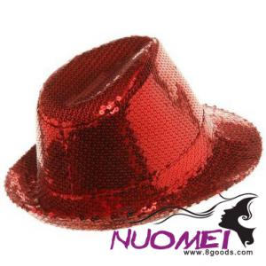 HS0366     Fashion hat