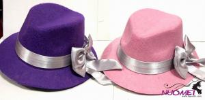 HS0381    Fashion hat