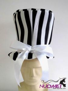 HS0403     Fashion hat