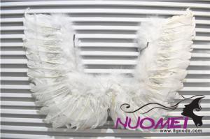 BWS0031   Beautiful Wings