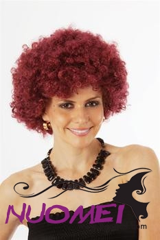 FF0448 Fun Wigs
