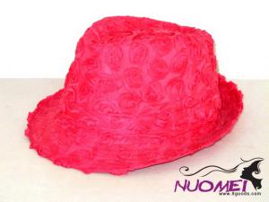 HS0566     Fashion hat