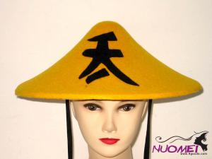 HS0447    Fashion hat