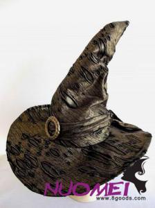 HS0416   Fashion hat