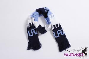 FS0169    Fashion scarf