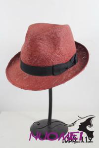 TH3025 Top Hat